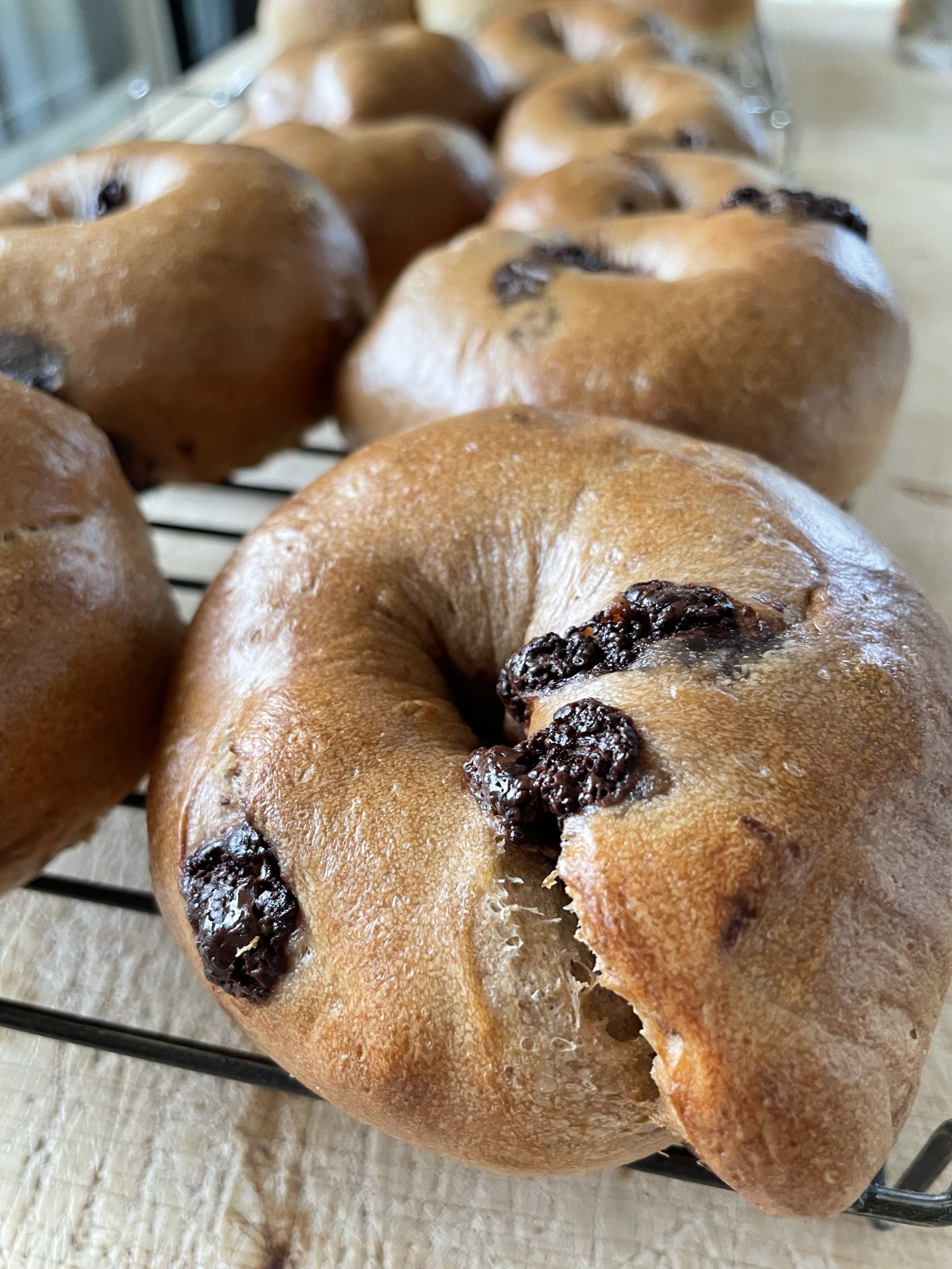 レーズン酵母ベーグル シナモンチョコレート マイニチノパン